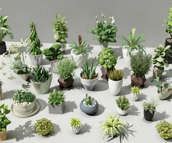 Modern Desktop Plant-ID:104266888