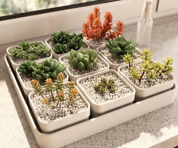 Modern Desktop Plant-ID:222656011