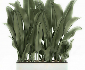 Modern Flower Bed, Flower Bowl, Flower Box-ID:409933097