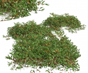 Modern The Grass-ID:178983938