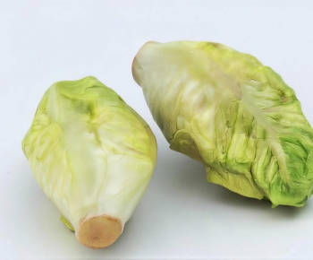 Modern Vegetables-ID:144176019