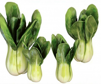 Modern Vegetables-ID:739672905