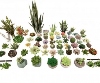 Modern Desktop Plant-ID:344150073