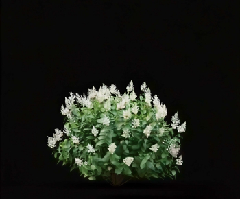 Modern Shrubbery-ID:854202037