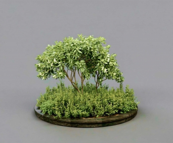Modern Flower Bed, Flower Bowl, Flower Box-ID:482666978
