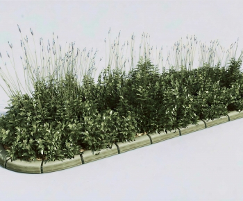 Modern Flower Bed, Flower Bowl, Flower Box-ID:645895007