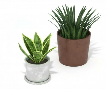 Modern Potted Green Plant-ID:270375017