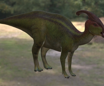 Modern Other Animals-ID:650687935