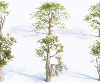 Modern Tree-ID:628915079