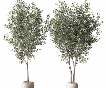 Modern Ground Green Plant Potted Plants-ID:212038998