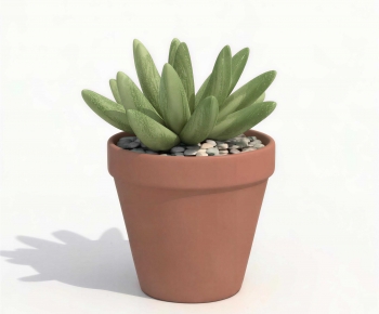 Modern Desktop Plant-ID:160439012