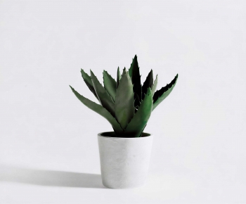 Modern Potted Green Plant-ID:339834937