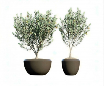 Modern Ground Green Plant Potted Plants-ID:555047046
