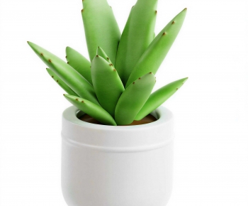 Modern Potted Green Plant-ID:582268006