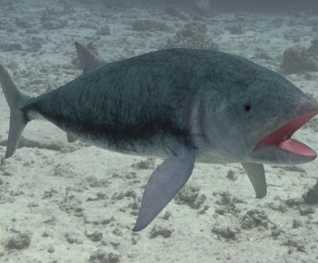 Modern Aquatic Animals-ID:462687973