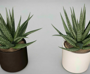 Modern Potted Green Plant-ID:216979983
