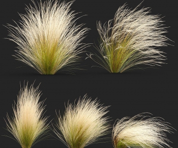 Modern The Grass-ID:823890926