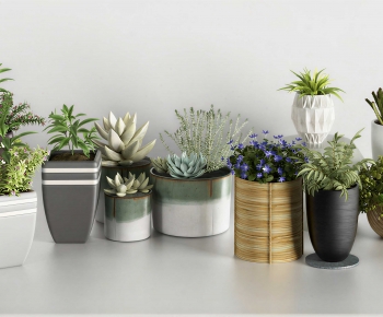 Modern Potted Green Plant-ID:821892025
