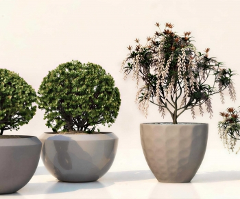 Modern Ground Green Plant Potted Plants-ID:852940133