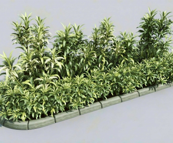 Modern Flower Bed, Flower Bowl, Flower Box-ID:526714098
