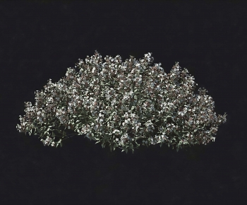 Modern Shrubbery-ID:163575891