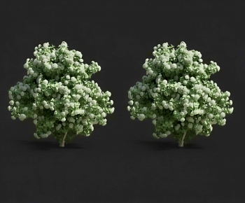 Modern Shrubbery-ID:112519364