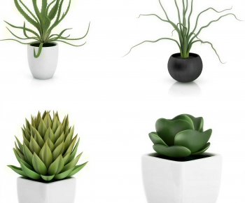 Modern Potted Green Plant-ID:172350883