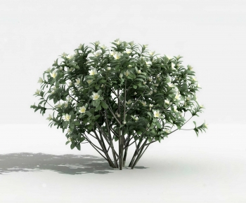 Modern Shrubbery-ID:451977977