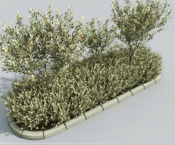 Modern Flower Bed, Flower Bowl, Flower Box-ID:563646082