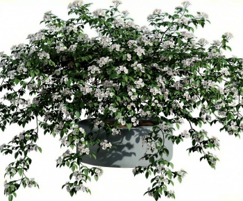Modern Ground Green Plant Potted Plants-ID:398664959