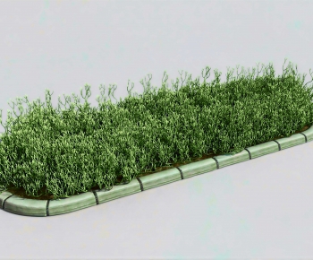 Modern Flower Bed, Flower Bowl, Flower Box-ID:347569075