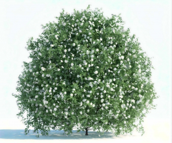 Modern Shrubbery-ID:315248979