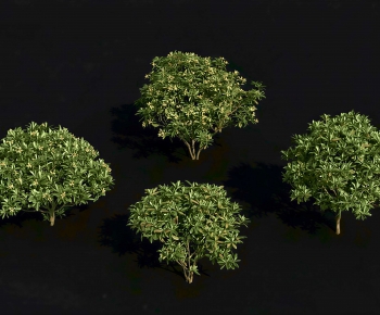Modern Shrubbery-ID:636518001