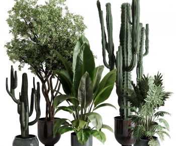 Modern Ground Green Plant Potted Plants-ID:697319517