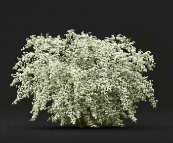 Modern Shrubbery-ID:334623102