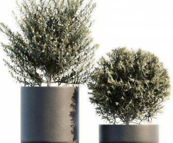 Modern Ground Green Plant Potted Plants-ID:914402967