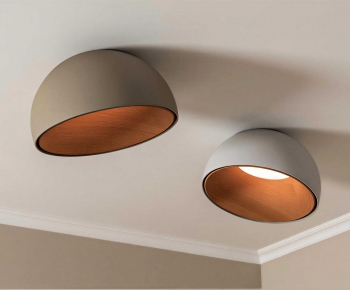 Modern Ceiling Ceiling Lamp-ID:257039075