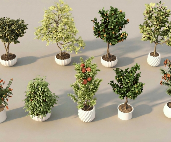 Modern Ground Green Plant Potted Plants-ID:561832908