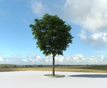 Modern Tree-ID:181512125