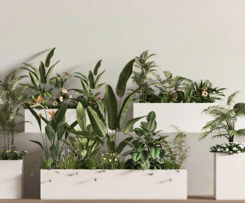 Modern Flower Bed, Flower Bowl, Flower Box-ID:833009006