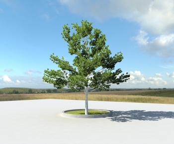 Modern Tree-ID:650283108
