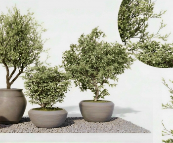 Modern Ground Green Plant Potted Plants-ID:361337908