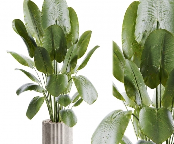 Modern Ground Green Plant Potted Plants-ID:690953025