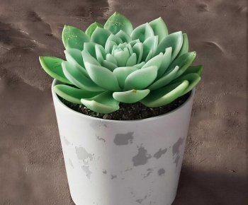 Modern Potted Green Plant-ID:947285892