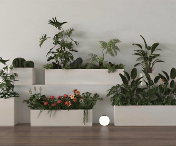 Modern Flower Bed, Flower Bowl, Flower Box-ID:357983118