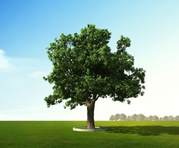 Modern Tree-ID:662676101