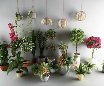 Modern Ground Green Plant Potted Plants-ID:417720082