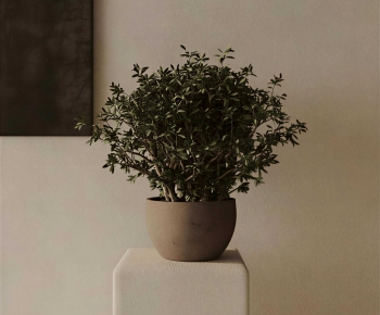 Wabi-sabi Style Potted Green Plant-ID:936068061