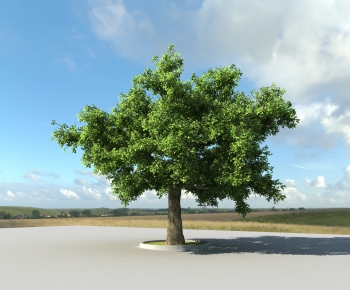 Modern Tree-ID:523102053