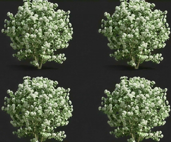 Modern Shrubbery-ID:387830021